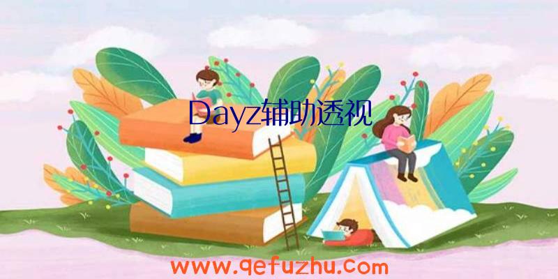 Dayz辅助透视