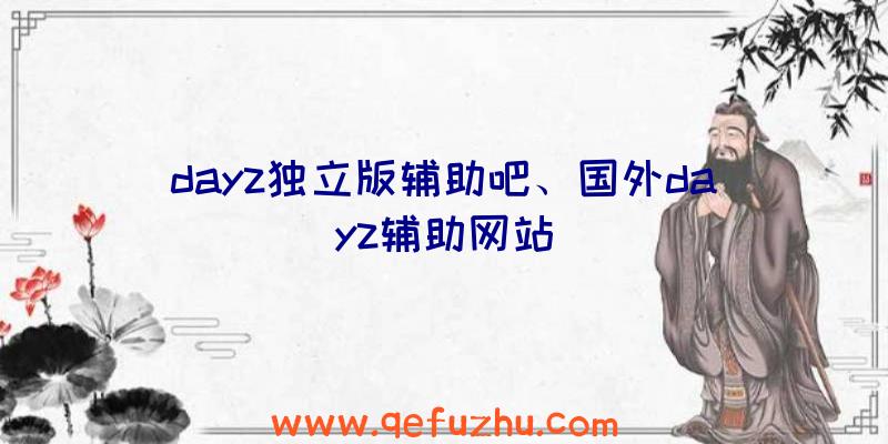 dayz独立版辅助吧、国外dayz辅助网站