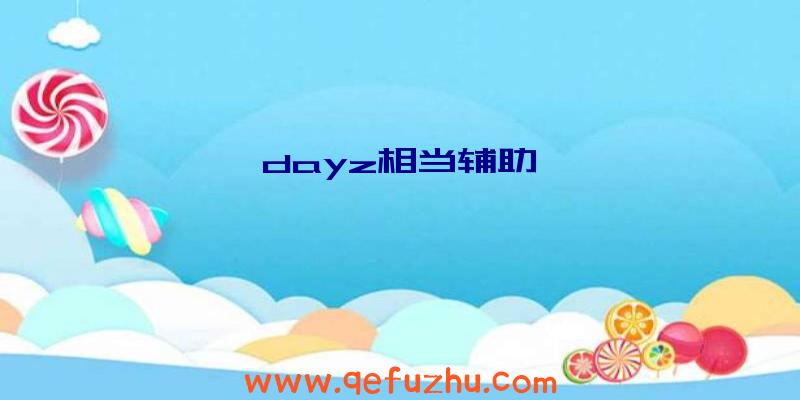 dayz相当辅助