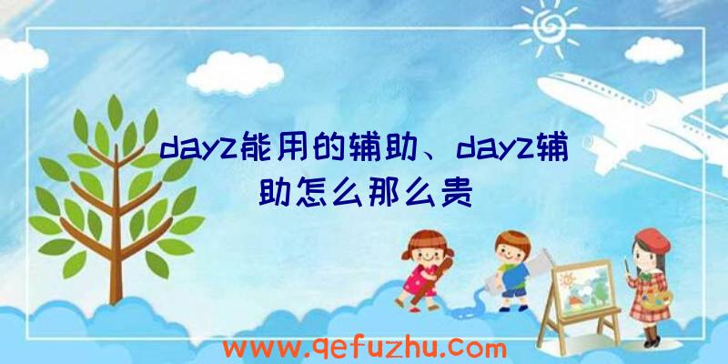dayz能用的辅助、dayz辅助怎么那么贵