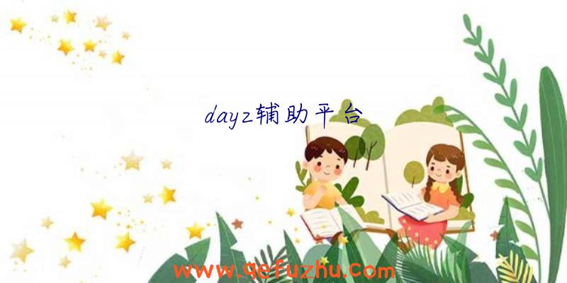 dayz辅助平台
