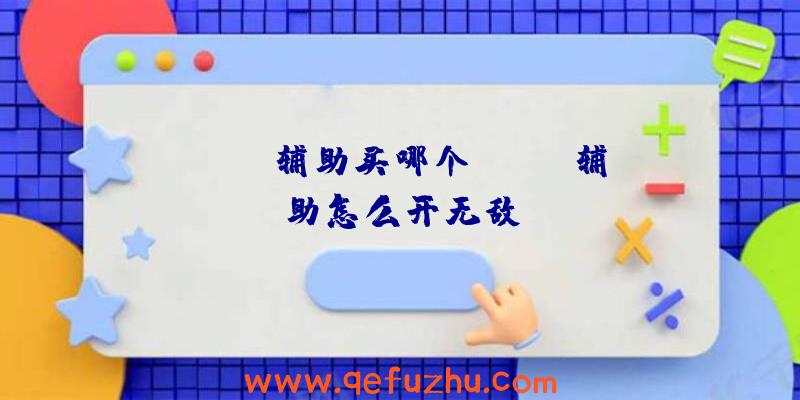 rust辅助买哪个、rust辅助怎么开无敌
