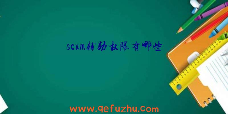 scum辅助权限有哪些