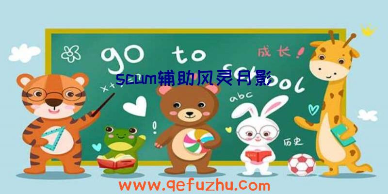 scum辅助风灵月影