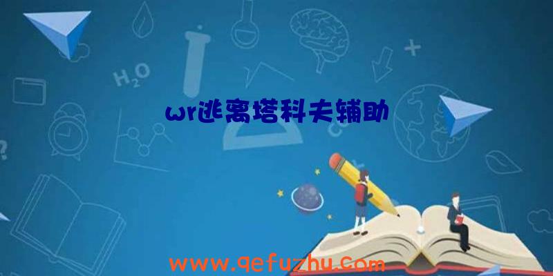 wr逃离塔科夫辅助