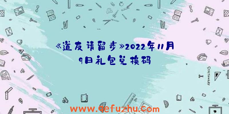 《道友请留步》2022年11月9日礼包兑换码