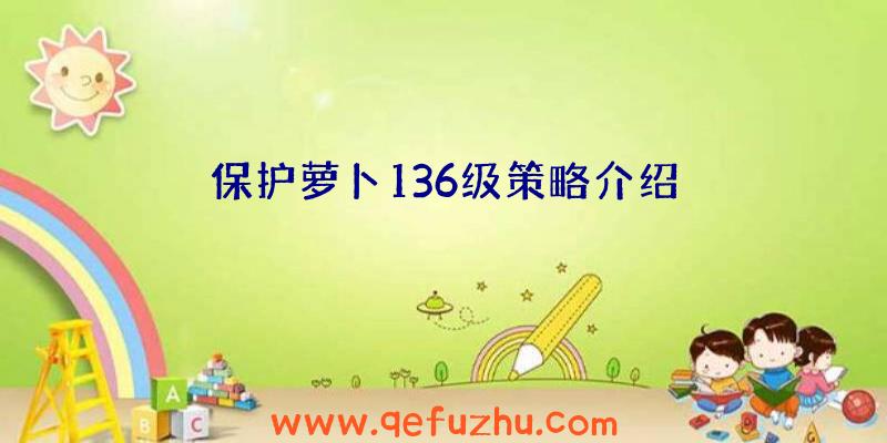 保护萝卜136级策略介绍