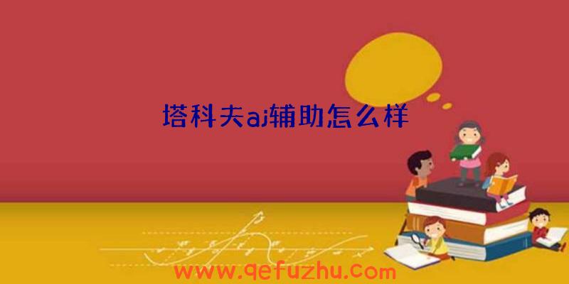 塔科夫aj辅助怎么样