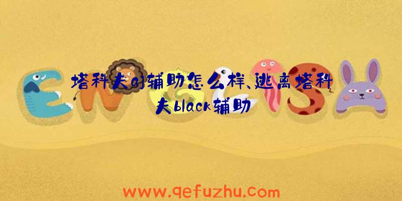 塔科夫aj辅助怎么样、逃离塔科夫black辅助