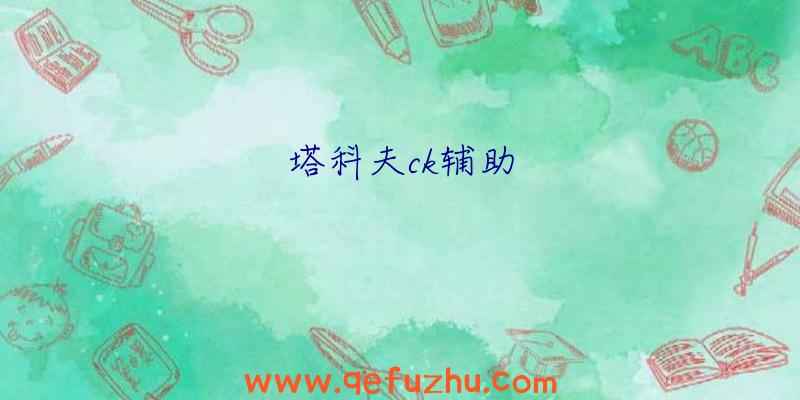 塔科夫ck辅助