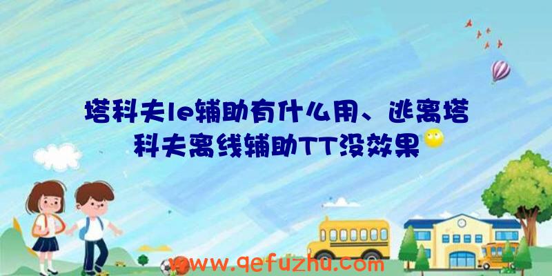 塔科夫le辅助有什么用、逃离塔科夫离线辅助TT没效果