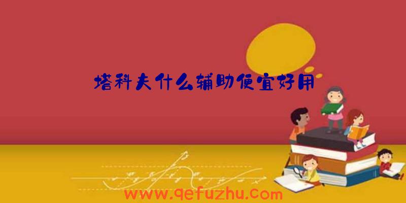 塔科夫什么辅助便宜好用