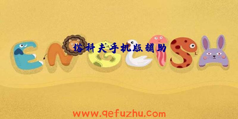 塔科夫手机版辅助