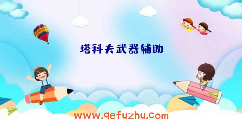 塔科夫武器辅助