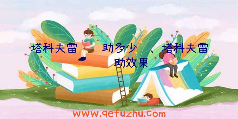 塔科夫雷达辅助多少钱、塔科夫雷达辅助效果