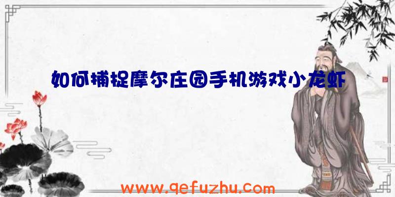 如何捕捉摩尔庄园手机游戏小龙虾