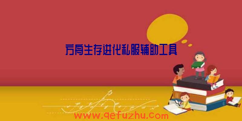 方舟生存进化私服辅助工具