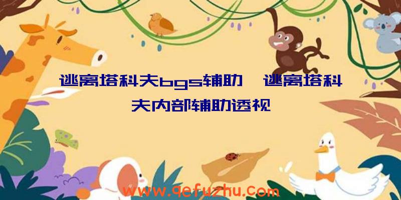 逃离塔科夫bgs辅助、逃离塔科夫内部辅助透视