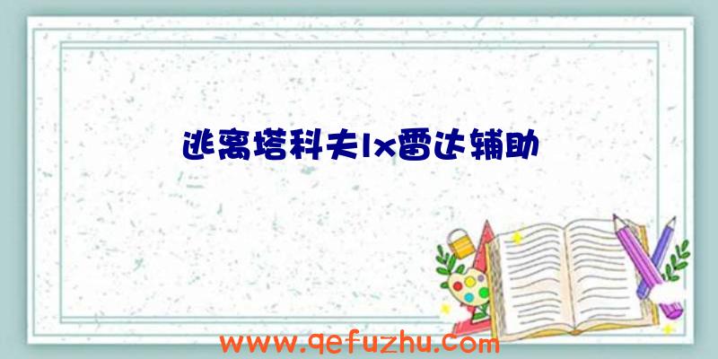 逃离塔科夫lx雷达辅助