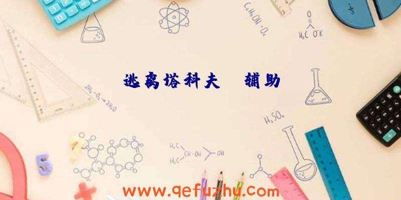 逃离塔科夫ru辅助