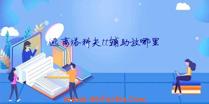 逃离塔科夫tt辅助放哪里