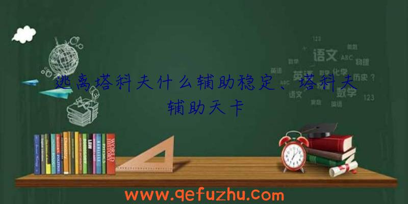 逃离塔科夫什么辅助稳定、塔科夫辅助天卡