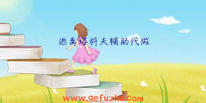 逃离塔科夫辅助代做