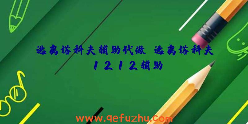 逃离塔科夫辅助代做、逃离塔科夫1212辅助