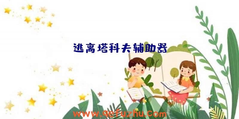 逃离塔科夫辅助器