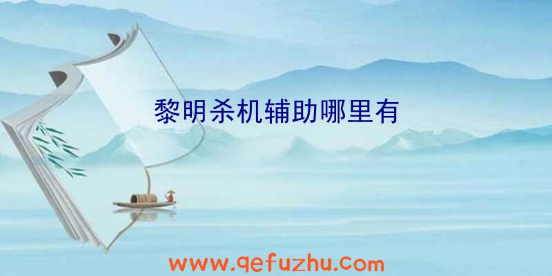 黎明杀机辅助哪里有