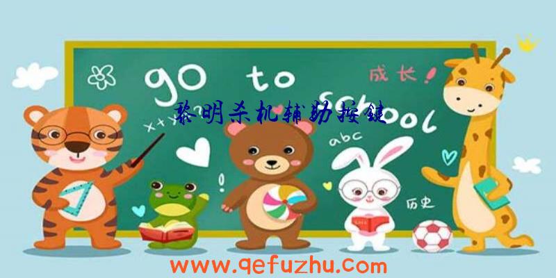 黎明杀机辅助按键