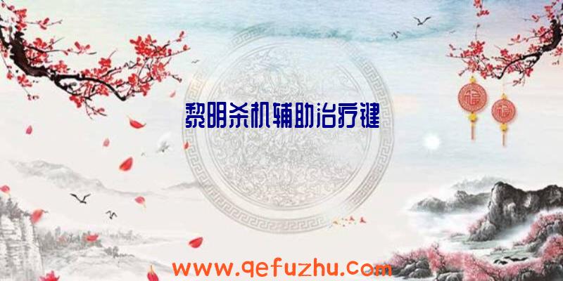 黎明杀机辅助治疗键