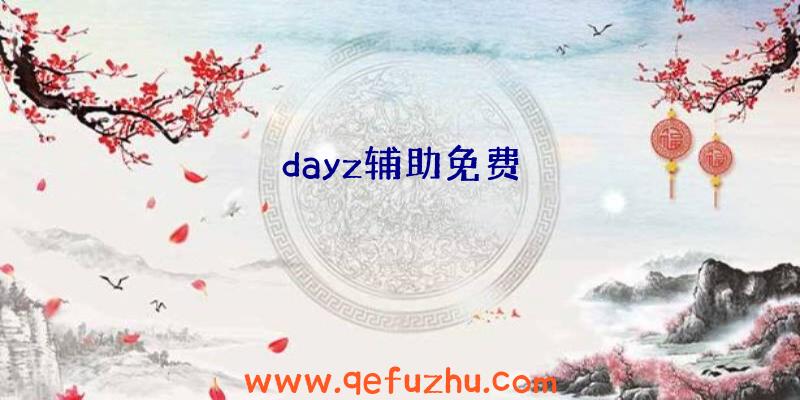 dayz辅助免费