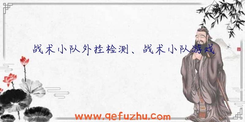 战术小队外挂检测、战术小队游戏