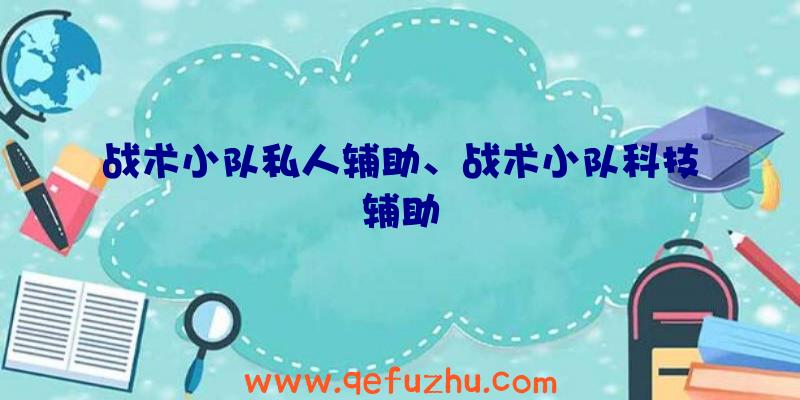 战术小队私人辅助、战术小队科技辅助