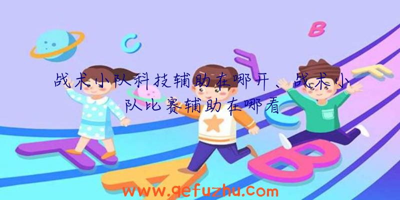 战术小队科技辅助在哪开、战术小队比赛辅助在哪看