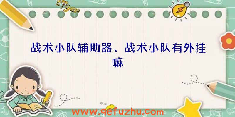 战术小队辅助器、战术小队有外挂嘛
