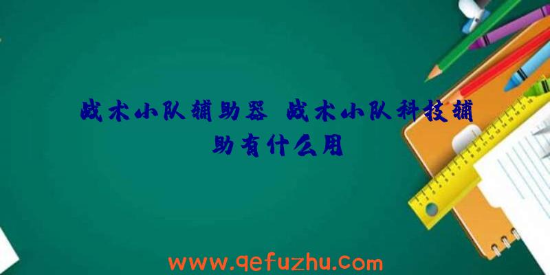 战术小队辅助器、战术小队科技辅助有什么用