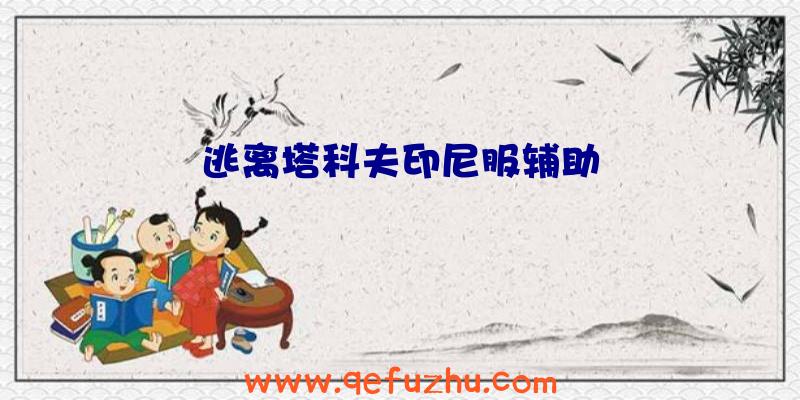 逃离塔科夫印尼服辅助